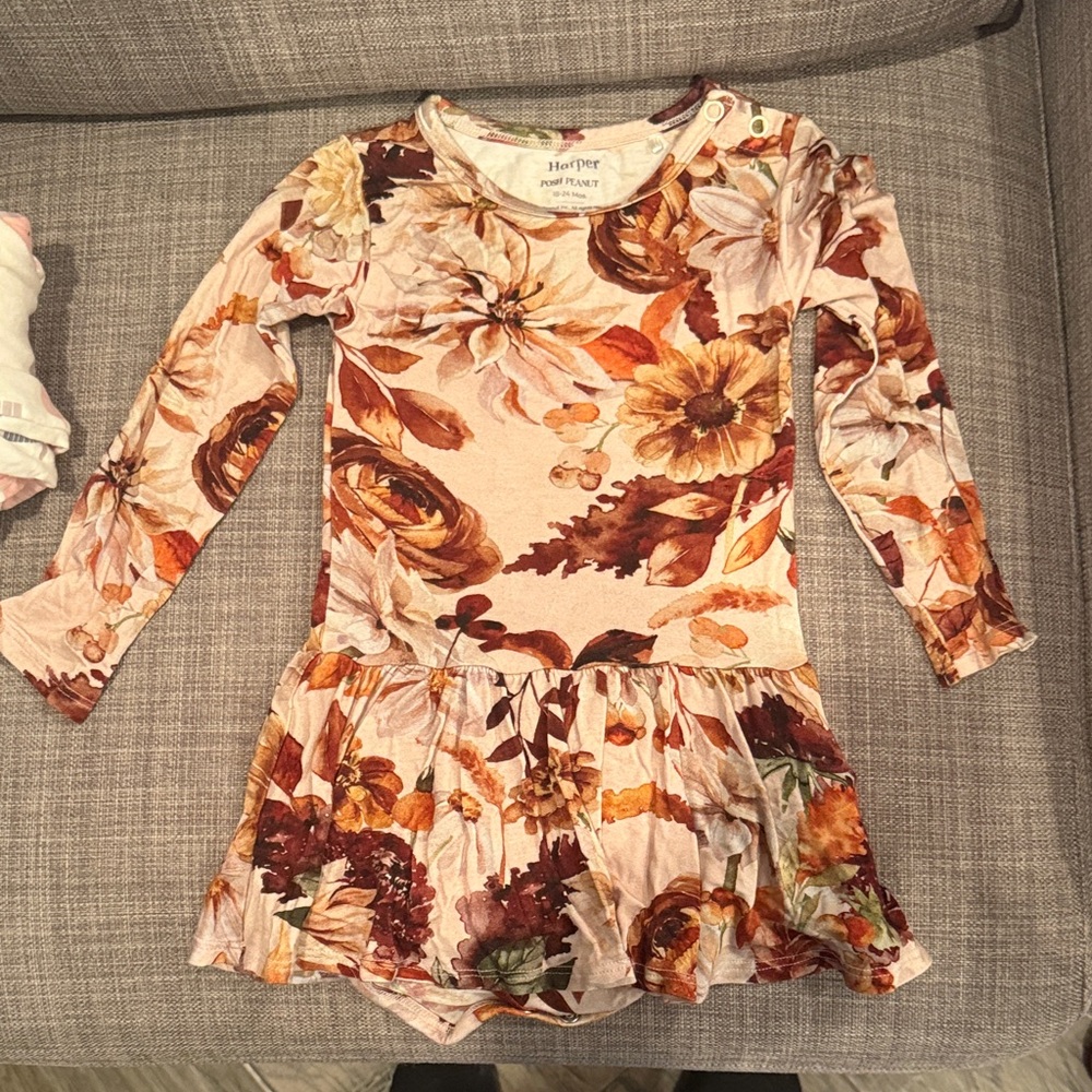 Posh Peanut Autumn Floral Kids Dress